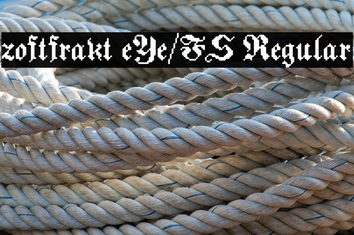 zoftfrakt eYe/FS Regular Example 2
