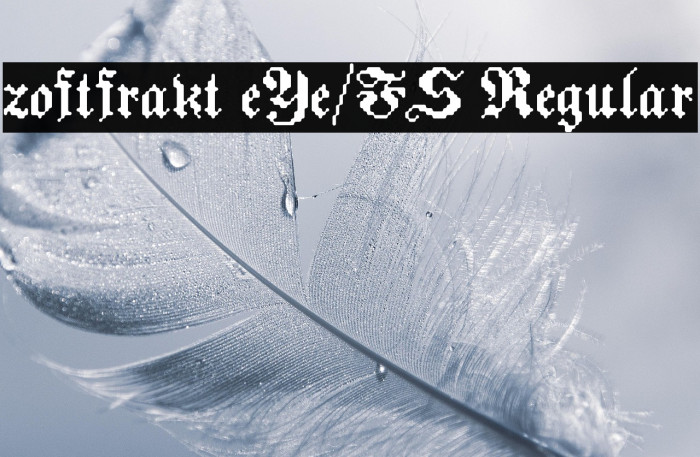 zoftfrakt eYe/FS Regular Example 3