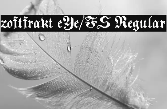 zoftfrakt eYe/FS Regular Font examples