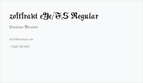 zoftfrakt eYe/FS Regular Business Card