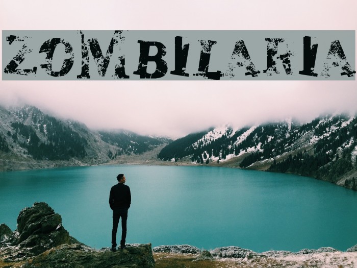 zombilaria Font examples