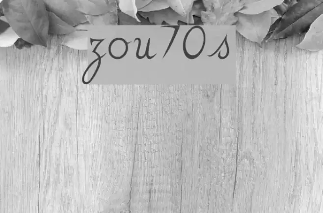 zou70s Font examples