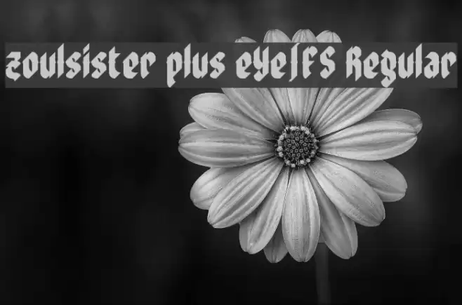 zoulsister plus eYe/FS Regular Font examples