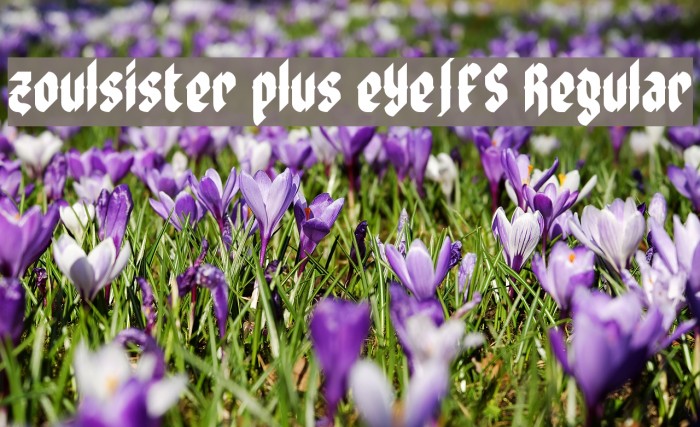 zoulsister plus eYe/FS Regular Font examples