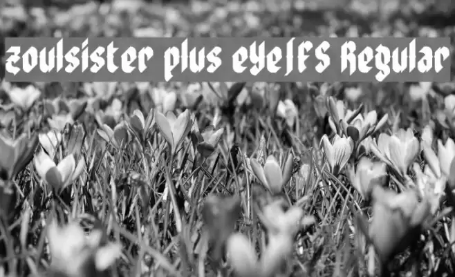 zoulsister plus eYe/FS Regular Font examples
