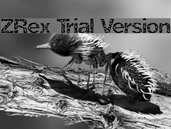 ZRex Trial Version Caratteri examples