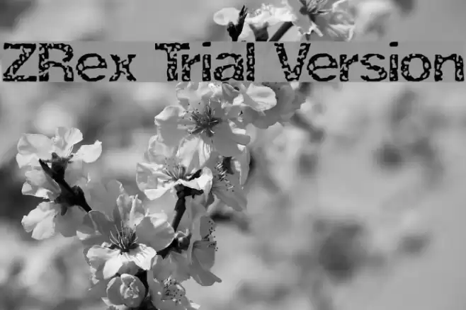 ZRex Trial Version Caratteri examples