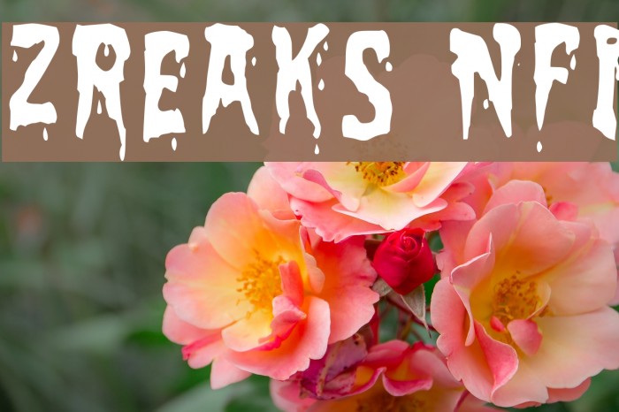 Zreaks NFI Font examples