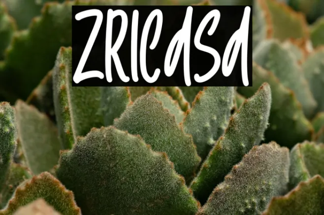 Zricasa Example 1
