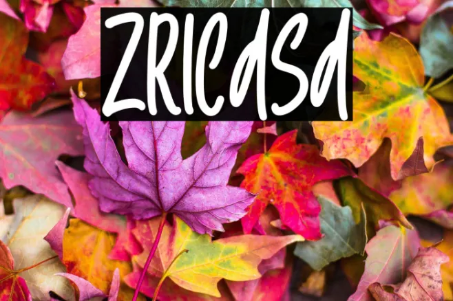 Zricasa Example 2