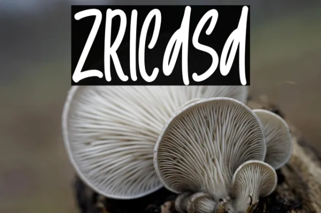 Zricasa Example 3