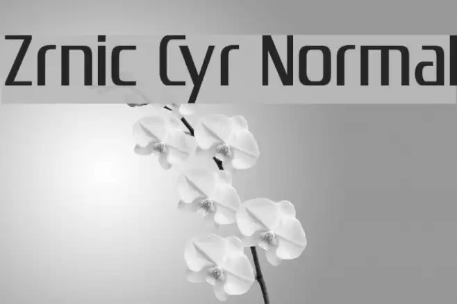 Zrnic Cyr Normal フォント examples