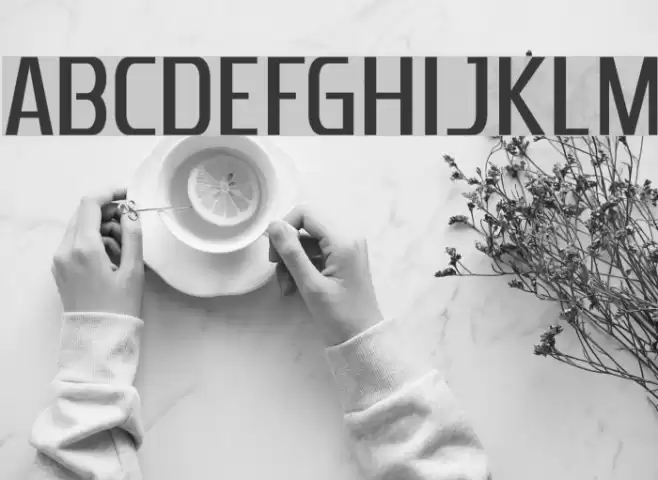 Zrnic-Regular Font examples