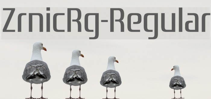 ZrnicRg-Regular Font examples