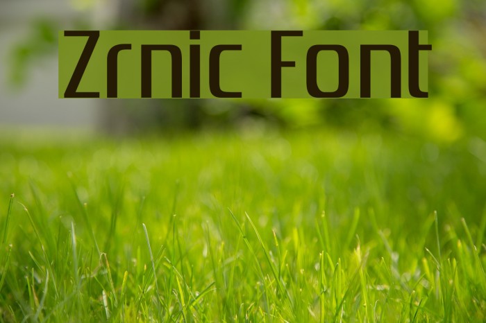 Zrnic Font examples