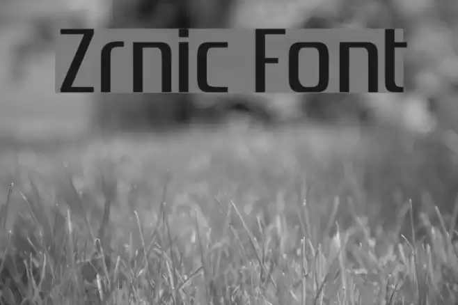 Zrnic Шрифта examples