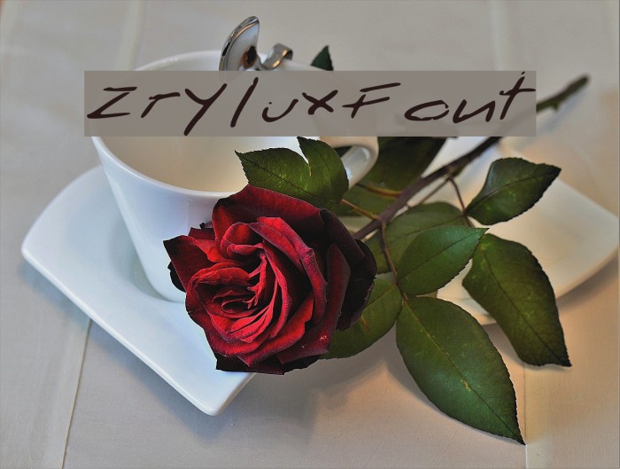 ZryluxFont Font examples