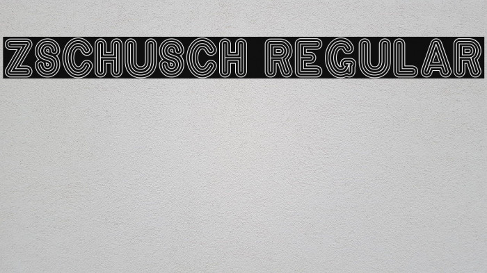 Zschusch Regular Font examples