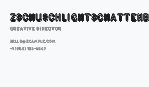 ZschuschLightSchattenB Business Card