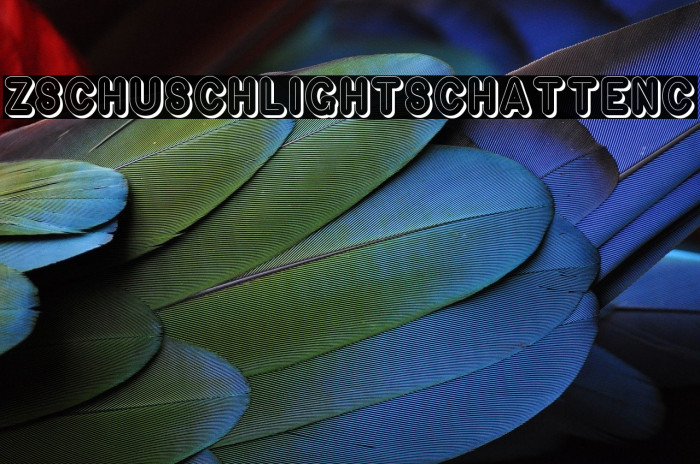 ZschuschLightSchattenC Font examples