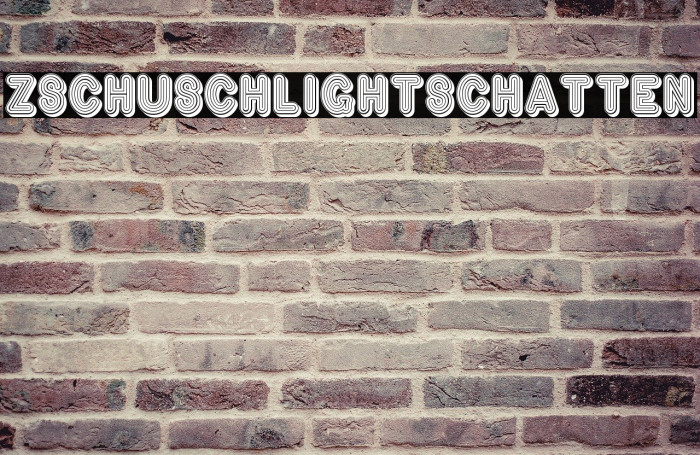 ZschuschLightSchatten Шрифта examples