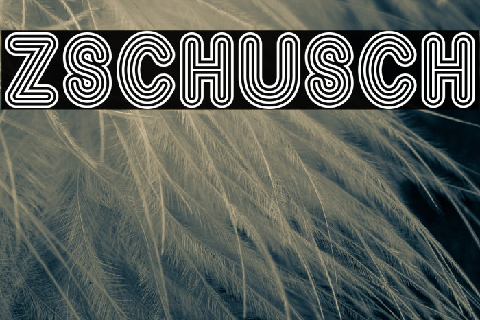 Zschusch Font examples
