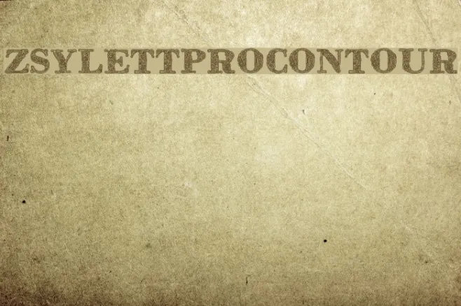 ZsylettProContour Example 1