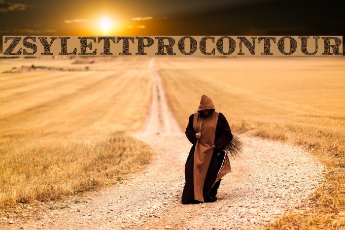 ZsylettProContour Font examples