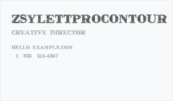 ZsylettProContour Business Card