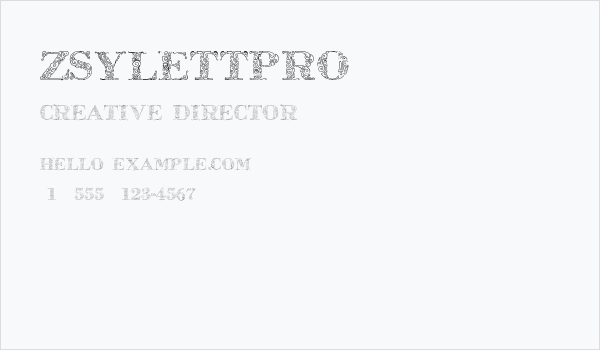 ZsylettPro Business Card