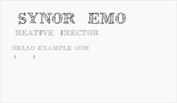 Zsynor Demo Business Card