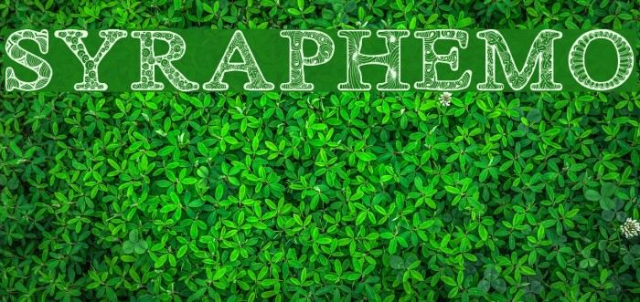 ZsyraphDemo Font examples