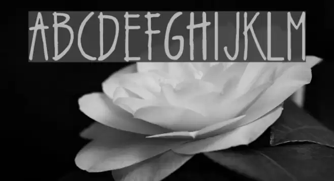 zsarchankian Font examples