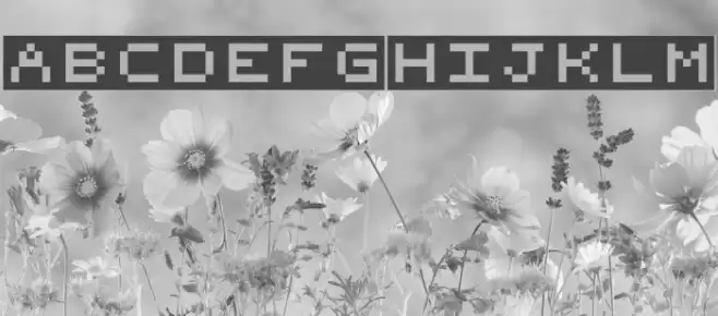 zTerm Block Fuentes examples