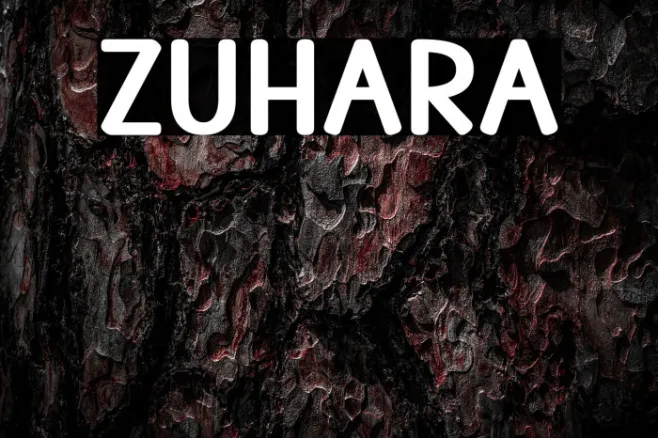 ZUHARA Example 1