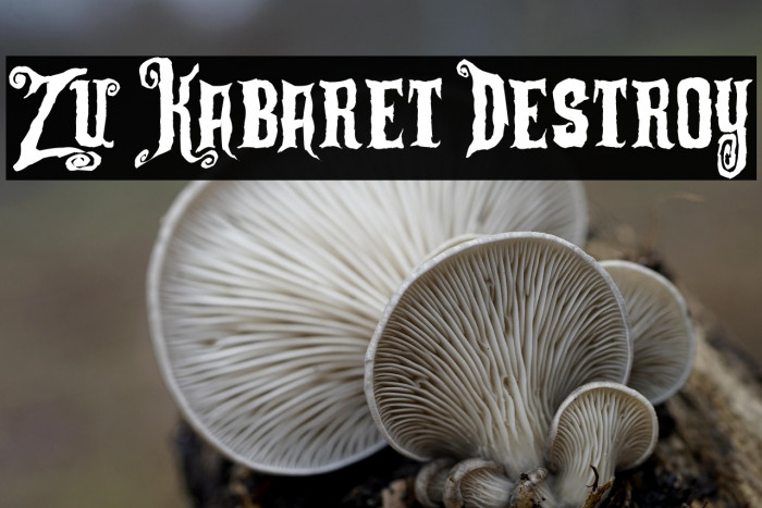 Zu Kabaret Destroy Example 1