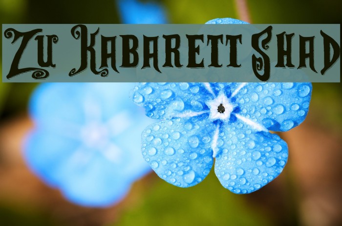 Zu Kabarett Shad Example 3