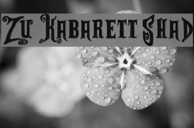 Zu Kabarett Shad Font examples