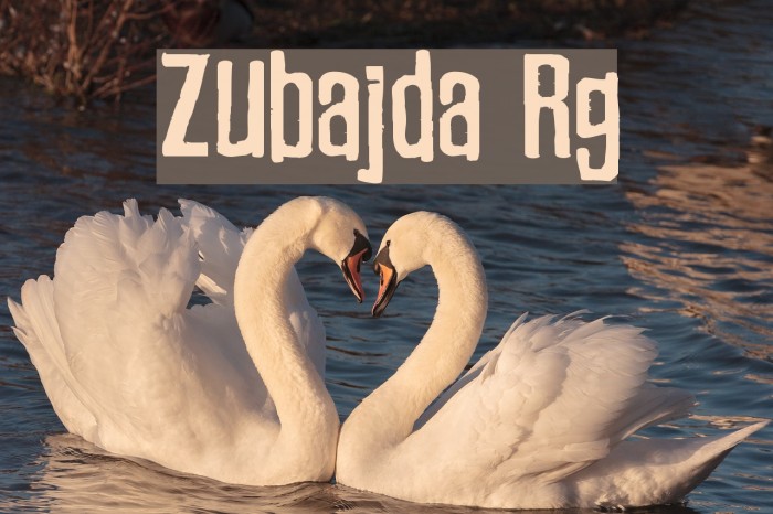 Zubajda Rg Font examples