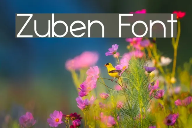 Zuben Example 2