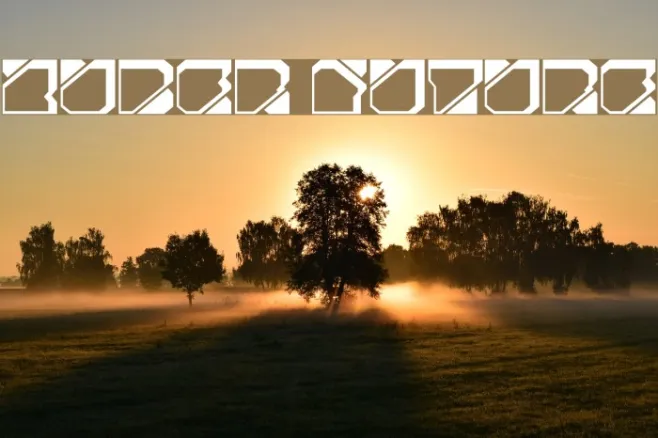 Zuber future Example 1