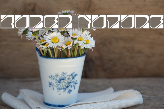 Zuber future Font examples