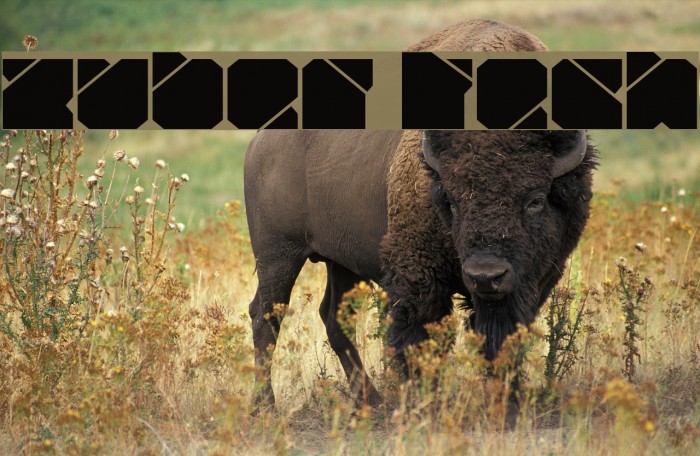 Zuber tech Example 3