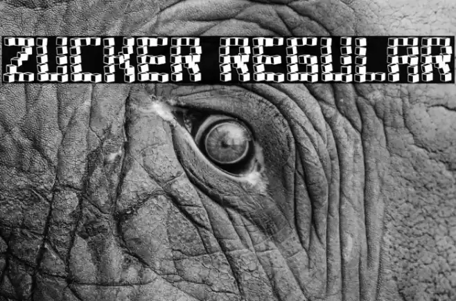 Zucker Regular Font examples