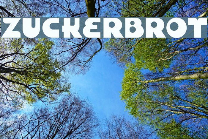 Zuckerbrot Fonte examples