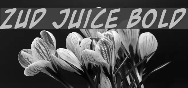Zud Juice Bold Font examples