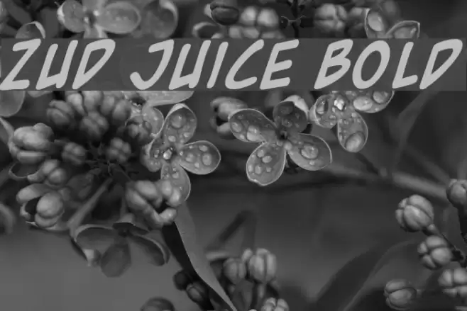 Zud Juice Bold Font examples