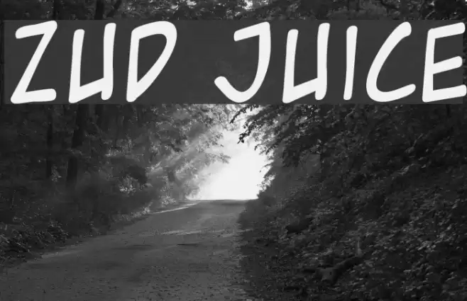 Zud Juice Font examples
