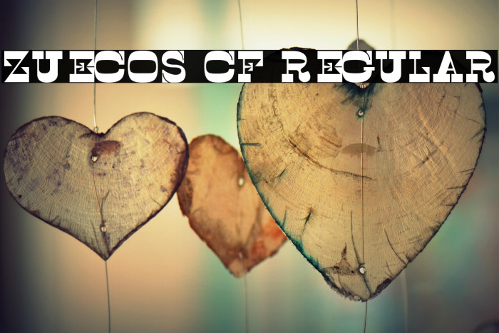 Zuecos CF Regular Example 1