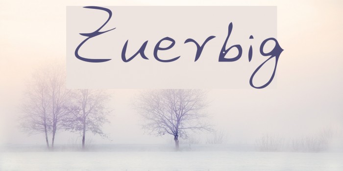 Zuerbig Font examples
